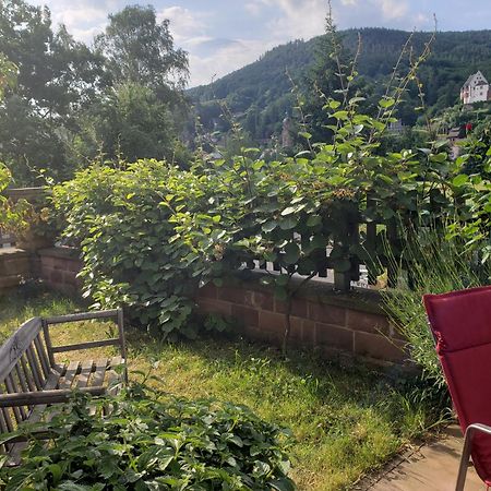 Panorama-Blick Miltenberg, 3 Pers., Zentr., Am Main, Terrasse, Bootverleih, P Exteriér fotografie