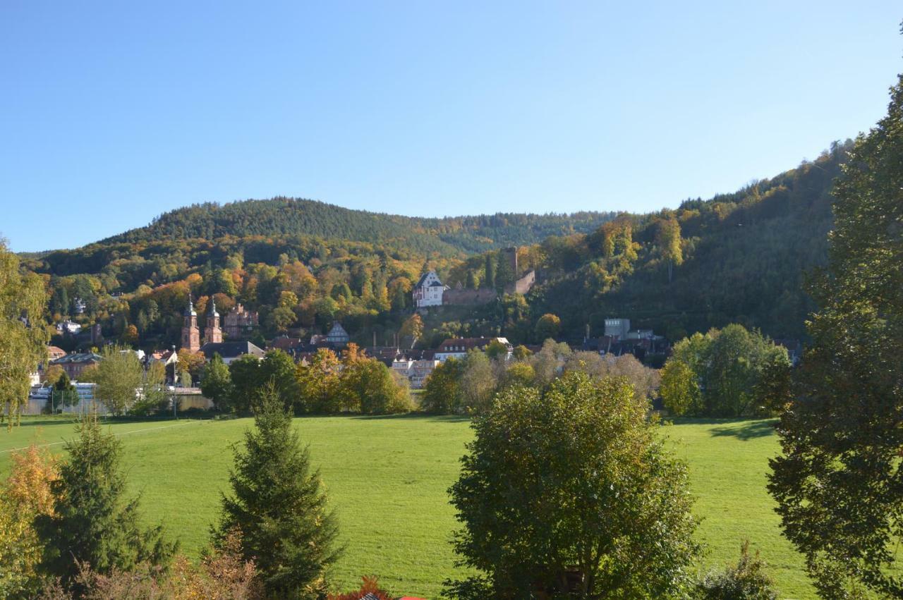 Panorama-Blick Miltenberg, 3 Pers., Zentr., Am Main, Terrasse, Bootverleih, P Exteriér fotografie