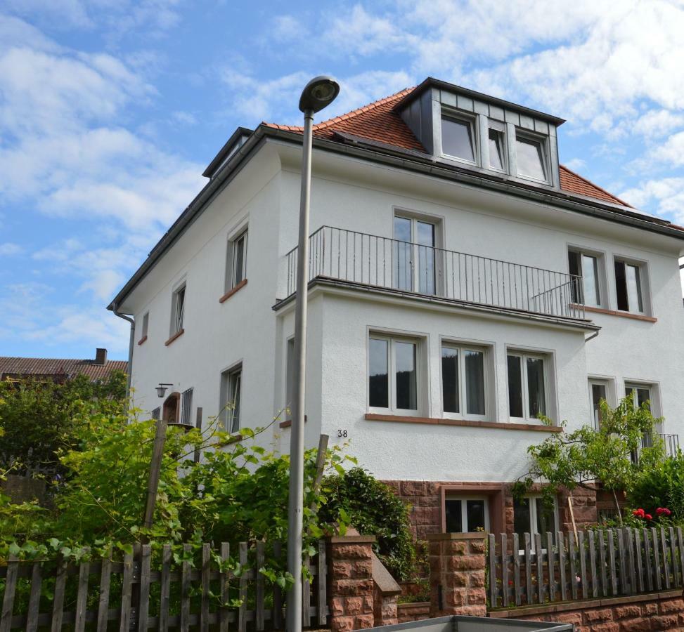 Panorama-Blick Miltenberg, 3 Pers., Zentr., Am Main, Terrasse, Bootverleih, P Exteriér fotografie