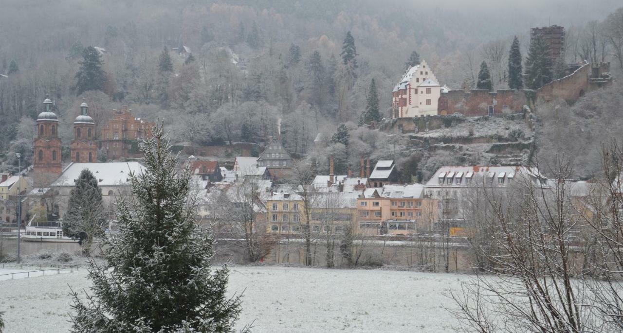 Panorama-Blick Miltenberg, 3 Pers., Zentr., Am Main, Terrasse, Bootverleih, P Exteriér fotografie