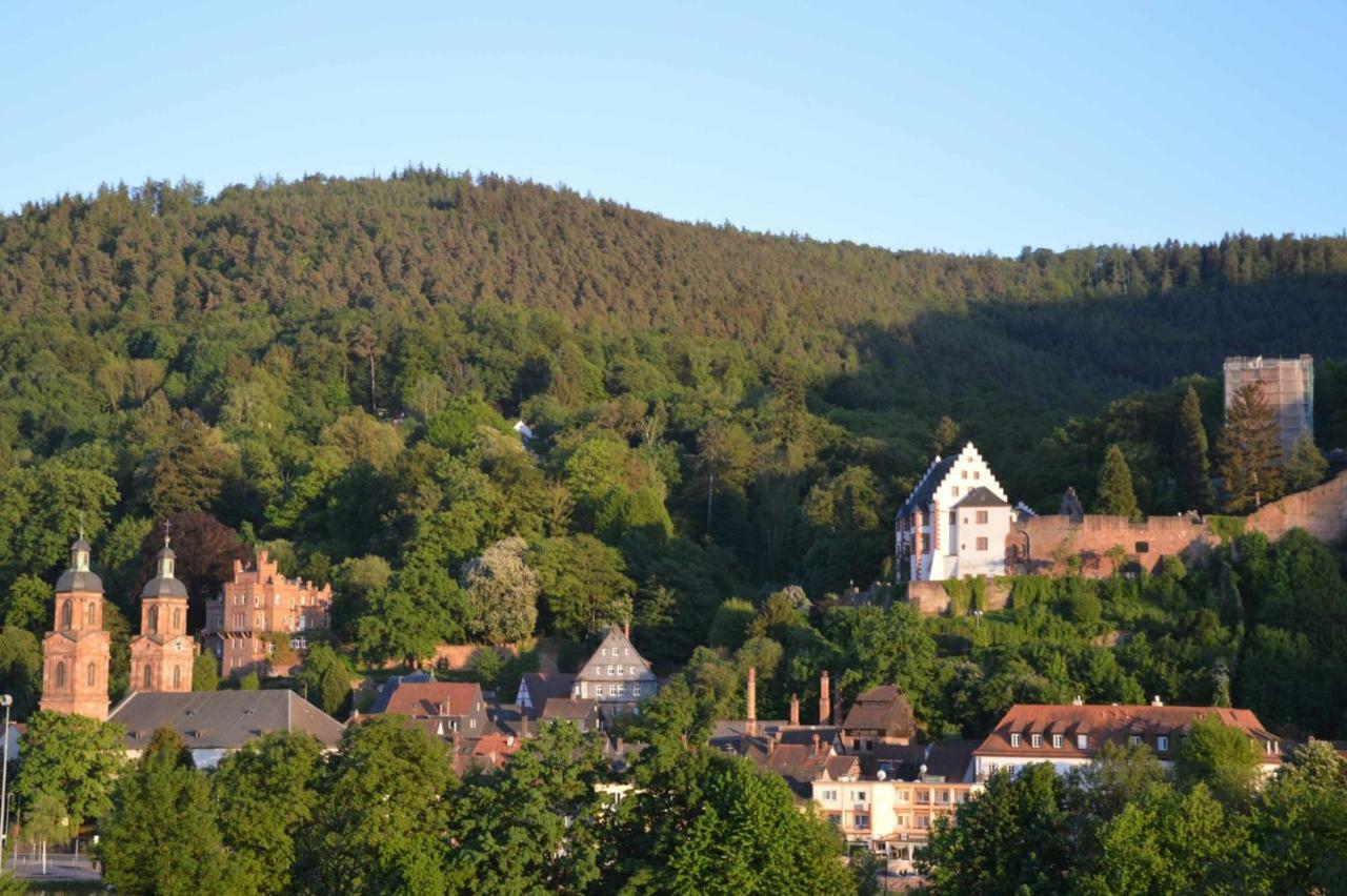 Panorama-Blick Miltenberg, 3 Pers., Zentr., Am Main, Terrasse, Bootverleih, P Exteriér fotografie