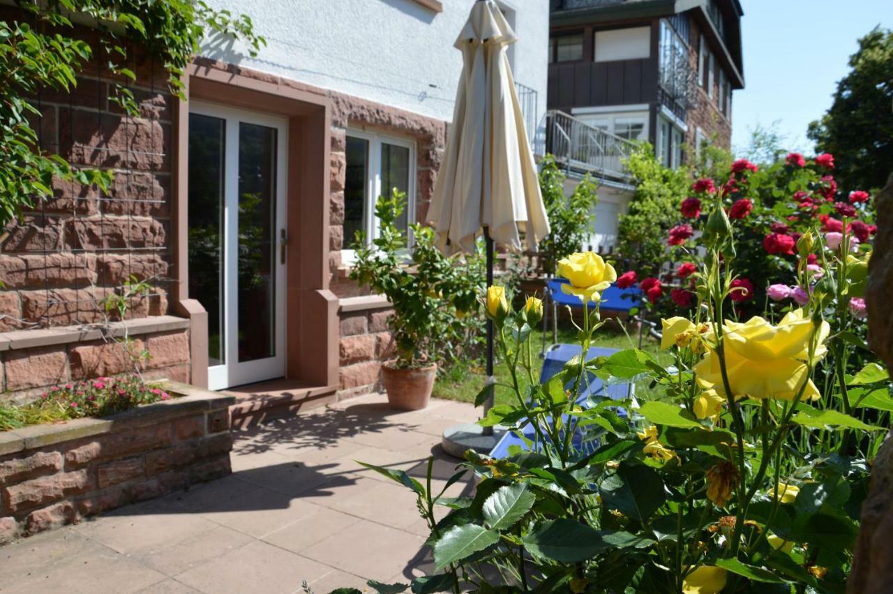 Panorama-Blick Miltenberg, 3 Pers., Zentr., Am Main, Terrasse, Bootverleih, P Exteriér fotografie